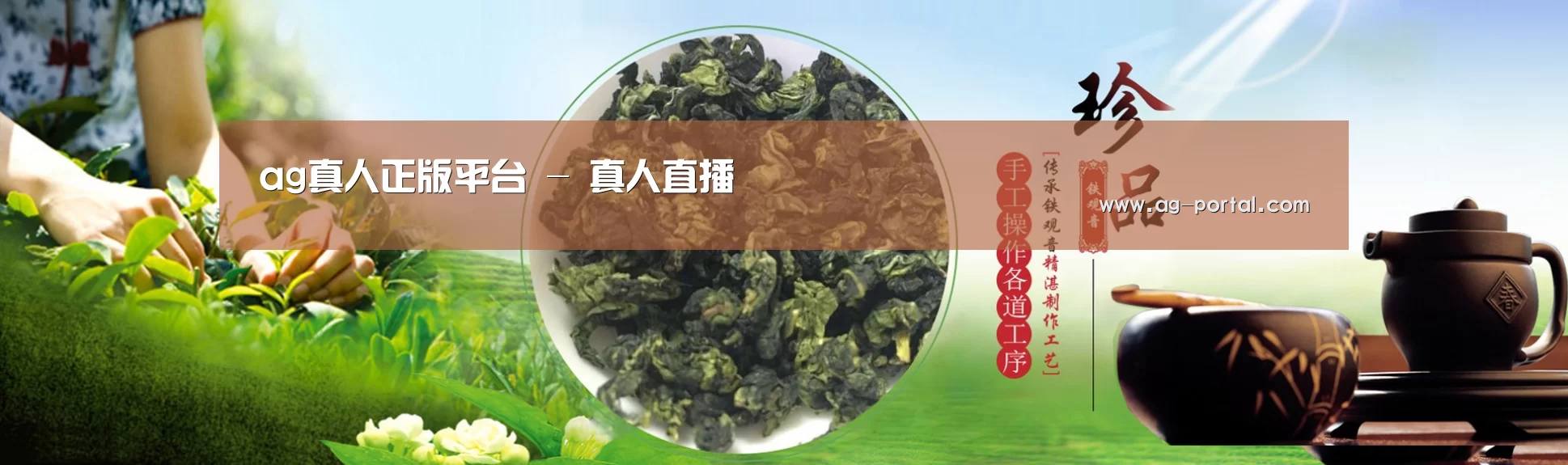 易优Cms-演示站