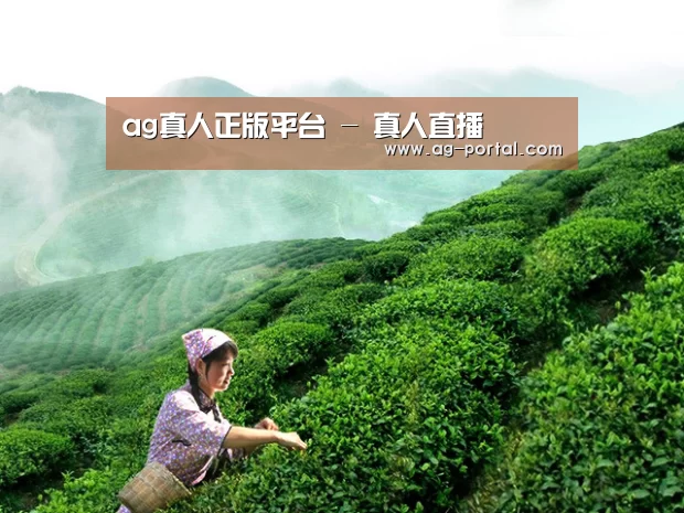 ag真人正版平台 - 真人直播