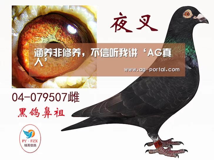 涵养非修养,不信听我讲‘AG真人’(图1) ag真人视讯