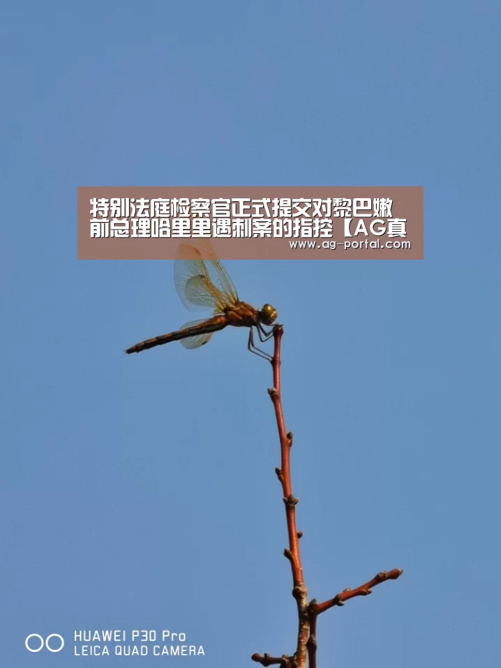 特别法庭检察官正式提交对黎巴嫩前总理哈里里遇刺案的指控【AG