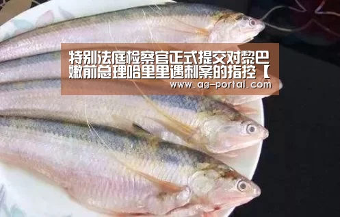 特别法庭检察官正式提交对黎巴嫩前总理哈里里遇刺案的指控【AG真人游戏平台】(图2) AG真人游戏平台