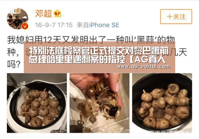 特别法庭检察官正式提交对黎巴嫩前总理哈里里遇刺案的指控【AG真人游戏平台】(图4) AG真人游戏平台