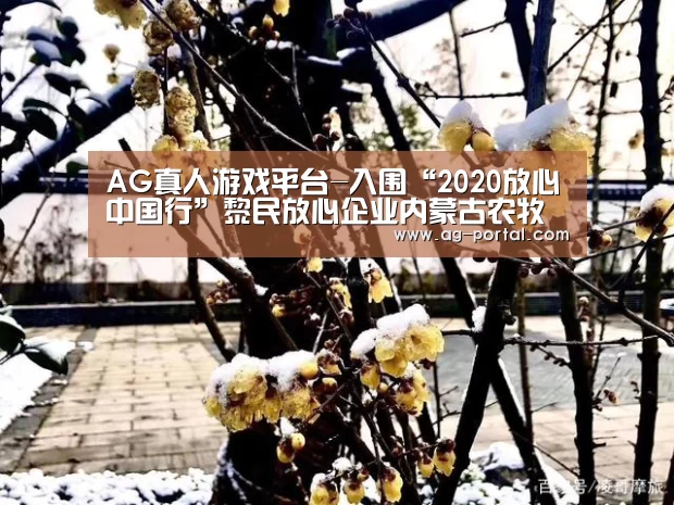 ag真人视讯