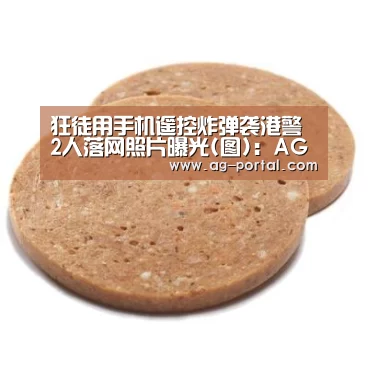 狂徒用手机遥控炸弹袭港警 2人落网照片曝光(图):AG真人游戏平台(图1) AG真人游戏平台