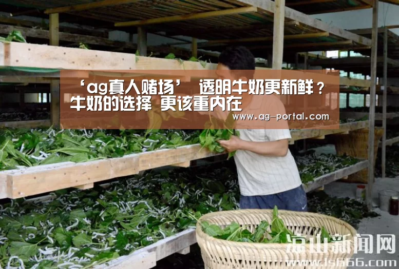 ag真人赌场
