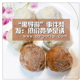 “黑导游”事件频发：低价竞争是诱因【AG真人】