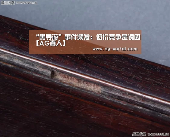 ag真人视讯