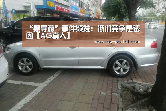 ag真人视讯