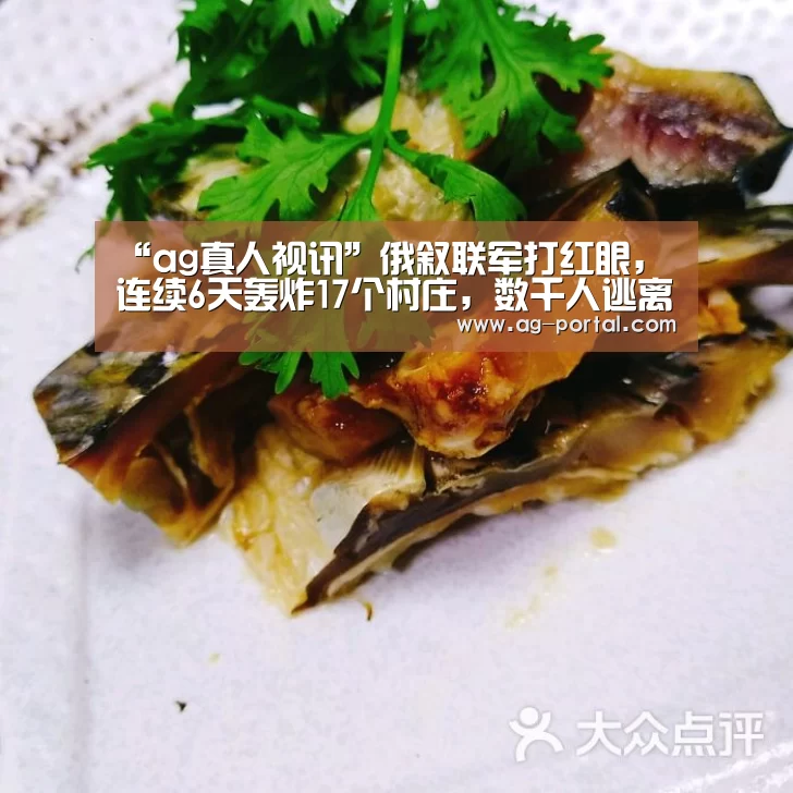 ag真人视讯